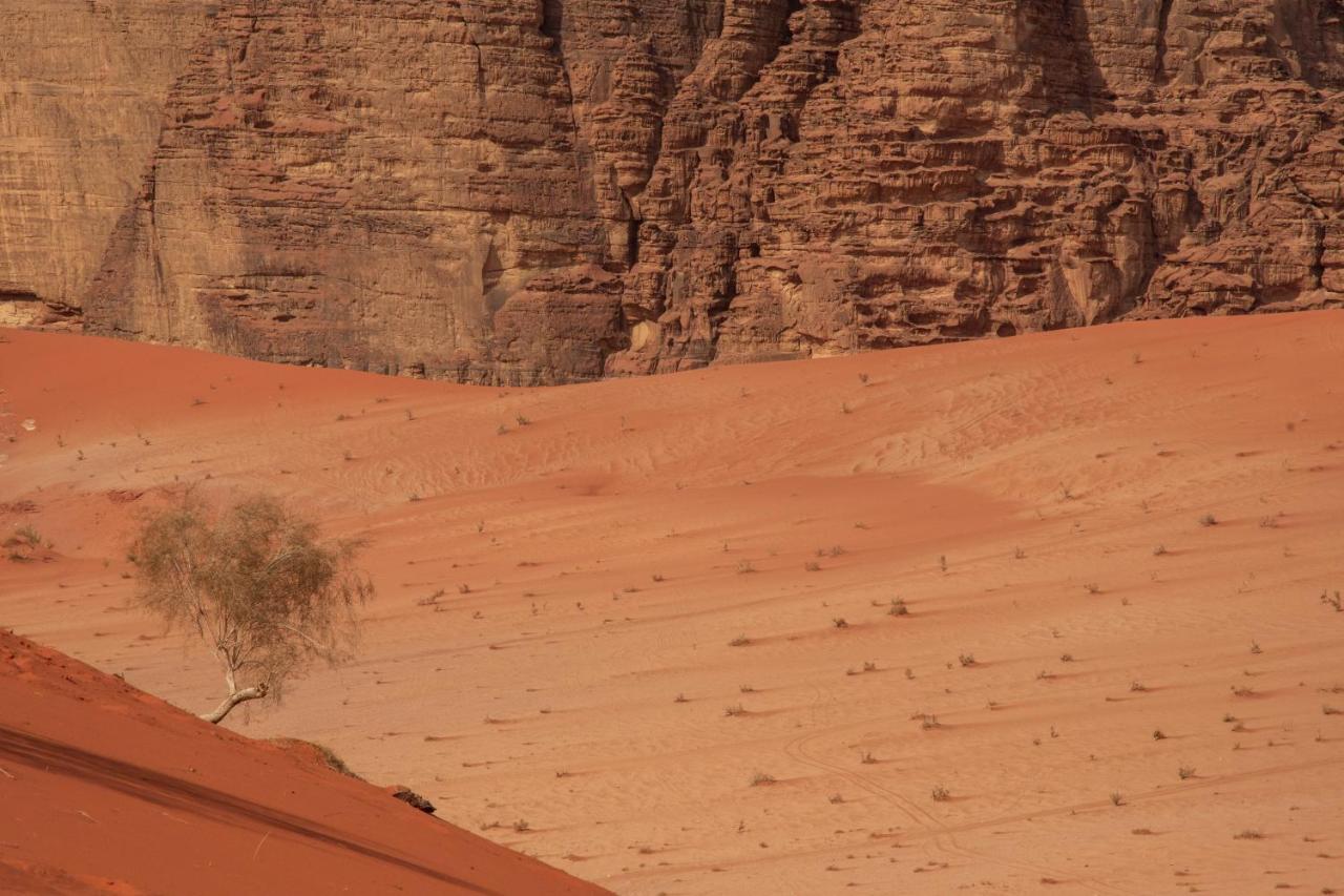 Wadi Rum Nights Екстер'єр фото