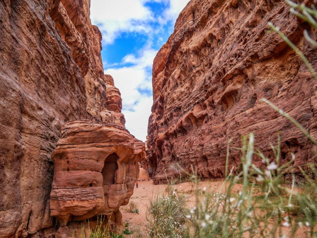 Wadi Rum Nights Екстер'єр фото