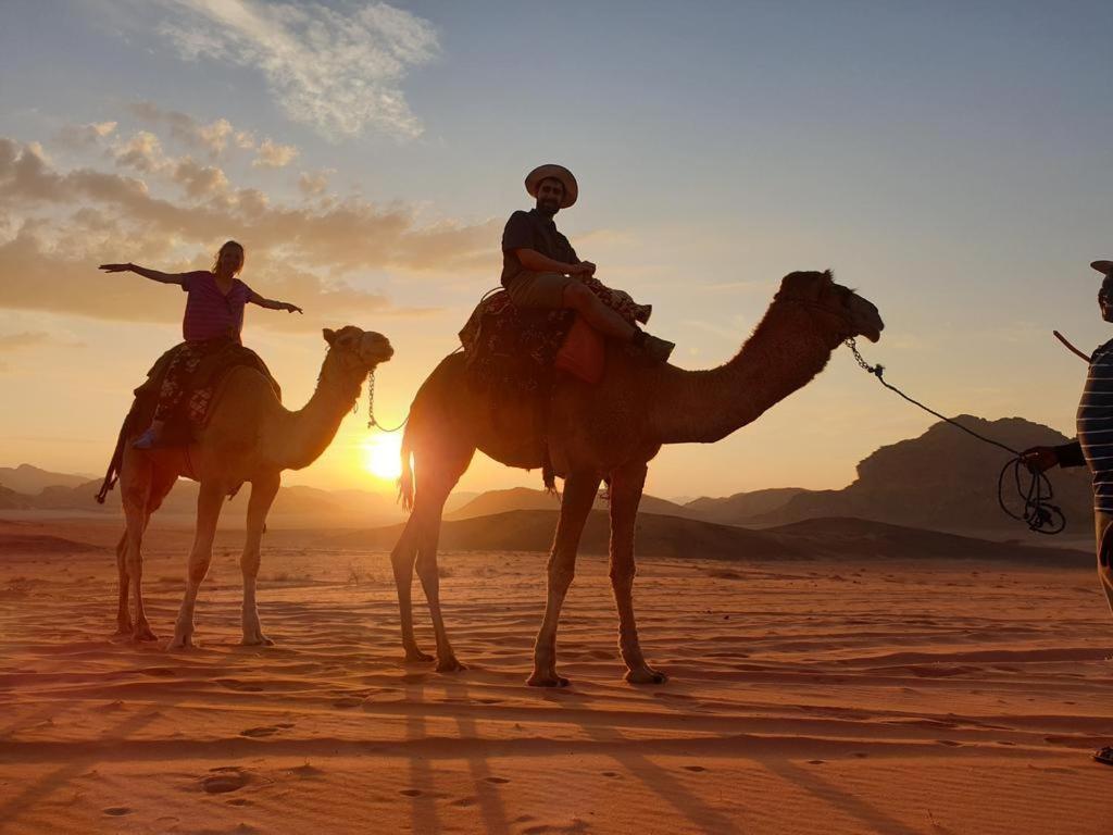 Wadi Rum Nights Екстер'єр фото