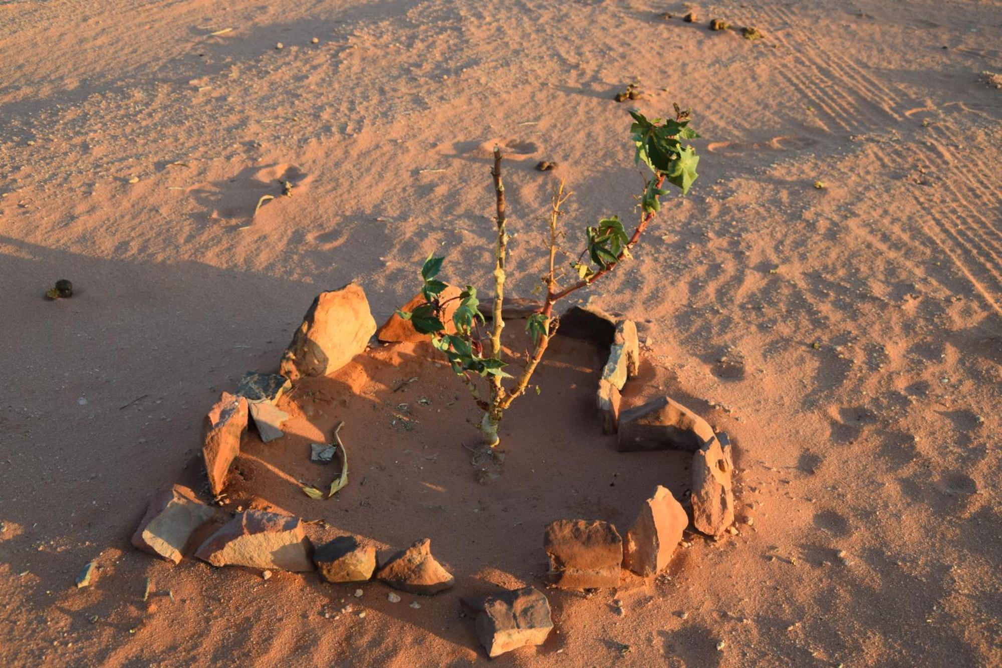 Wadi Rum Nights Екстер'єр фото