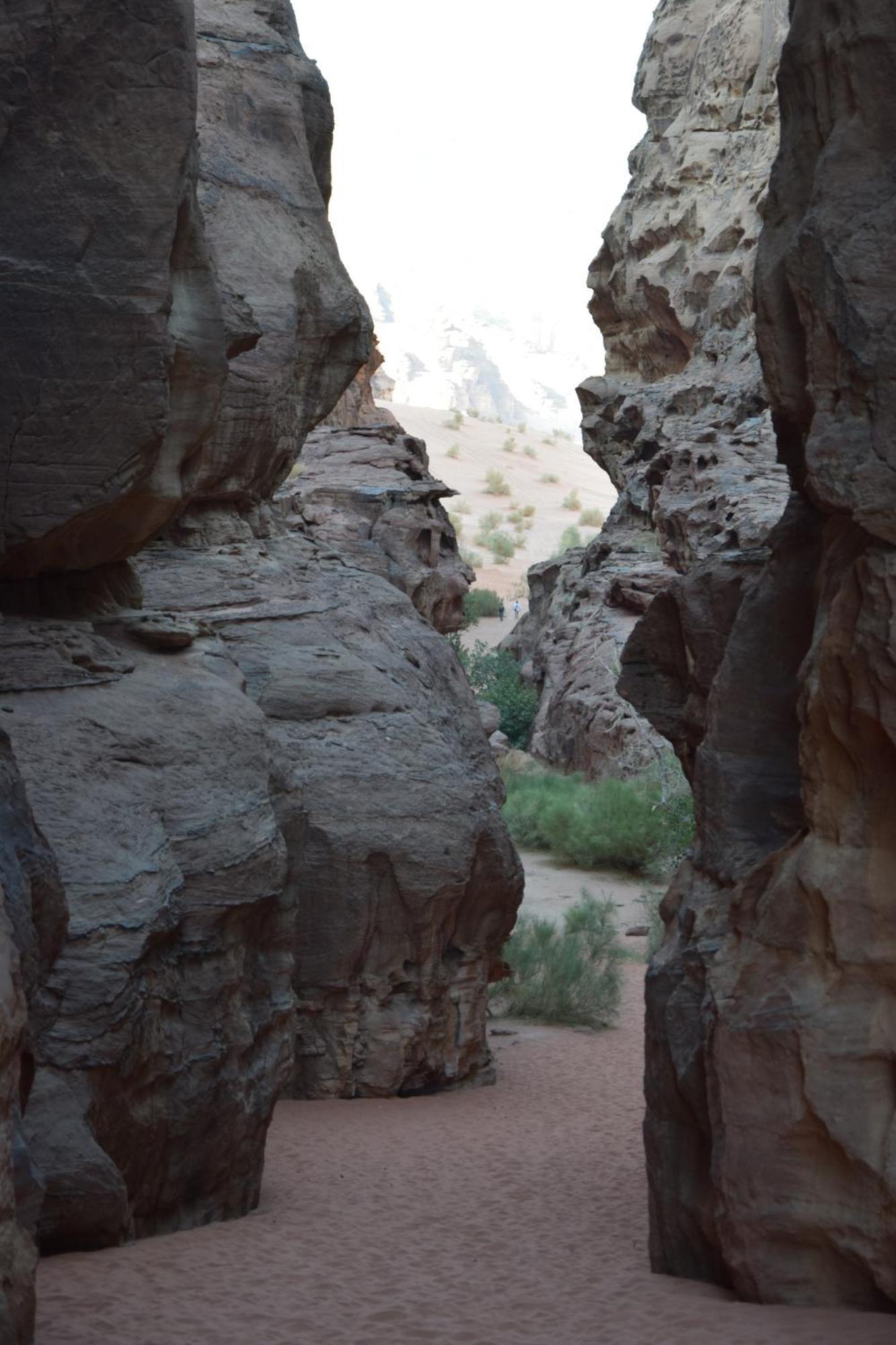 Wadi Rum Nights Екстер'єр фото
